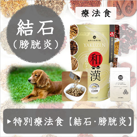 和漢みらいのドッグフード（公式）～無添加・和漢ドッグフード・自然の