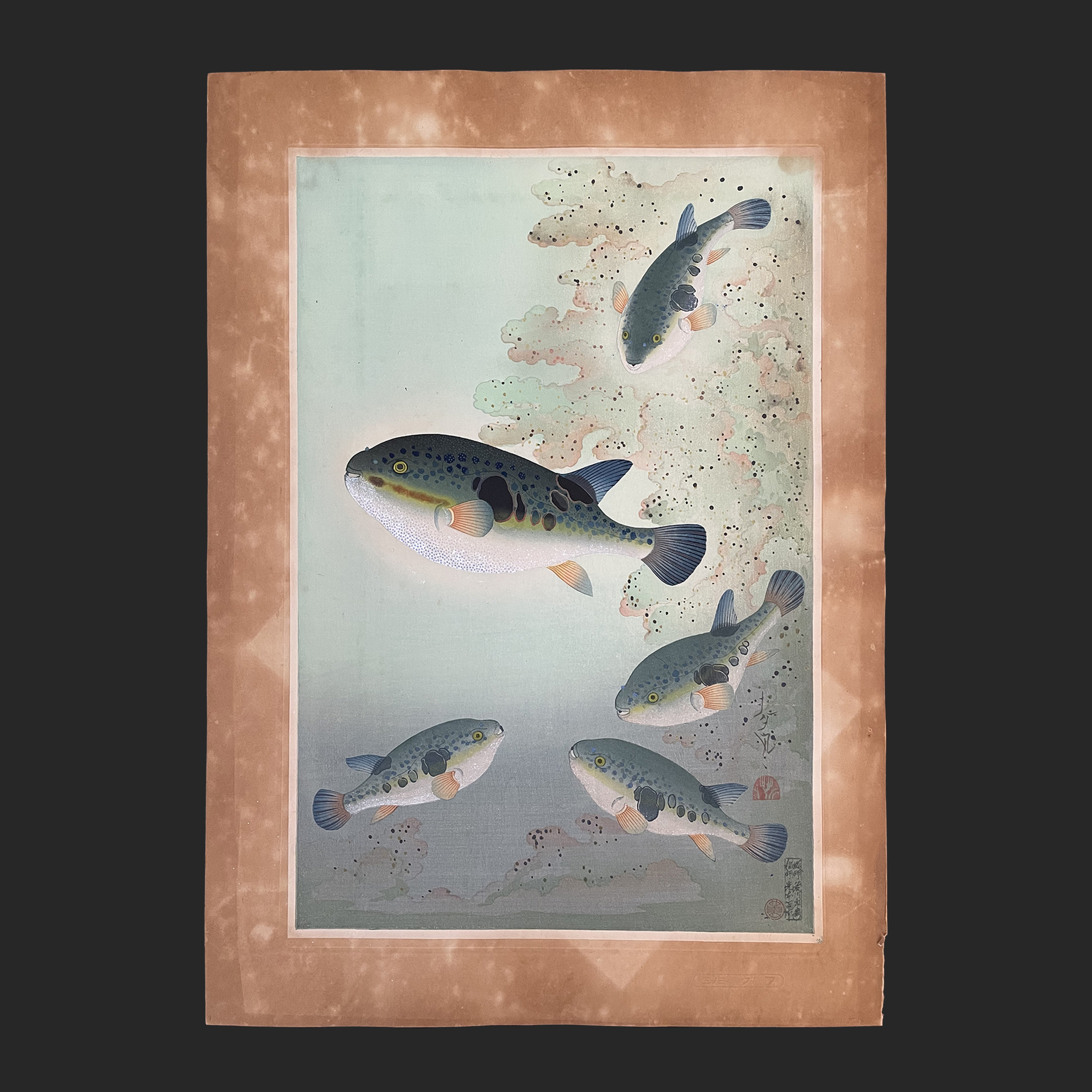 大野 麦風 ONO Bakufu 大日本魚類画集より「フグ」 | 新版画通販専門店