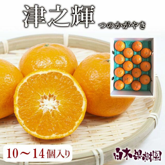 津之輝（つのかがやき） | 白木果樹園