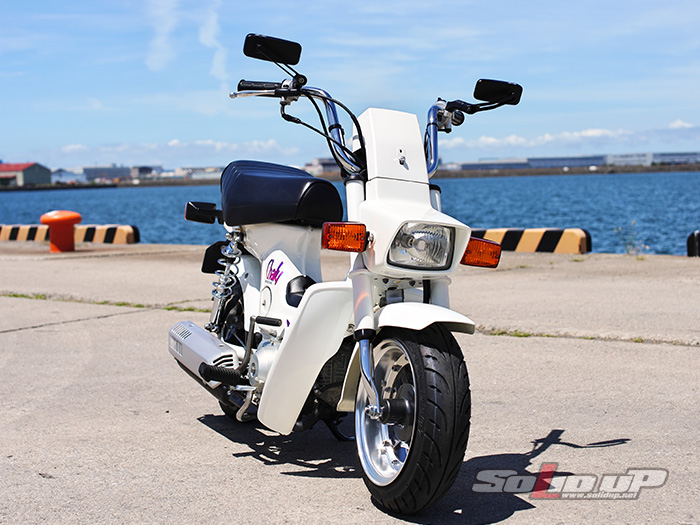 シャリー ロングノーズ / ソリッドアップ