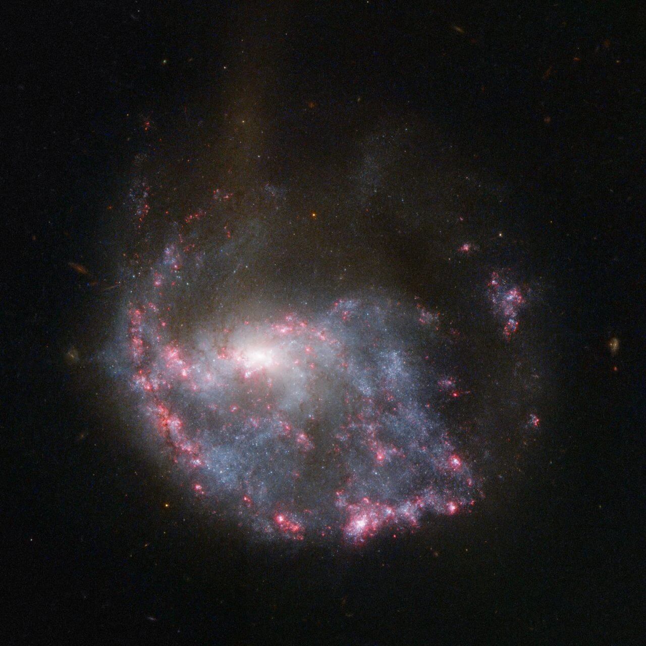 ピンク色に彩られたリングを持つ銀河「NGC 922」 ハッブル宇宙望遠鏡の