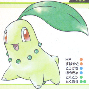 チコリータとキレイハナの色 – カクタスごう