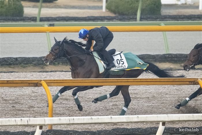 アリストテレス - Aristoteles - 競走馬データベース | 競馬ラボ