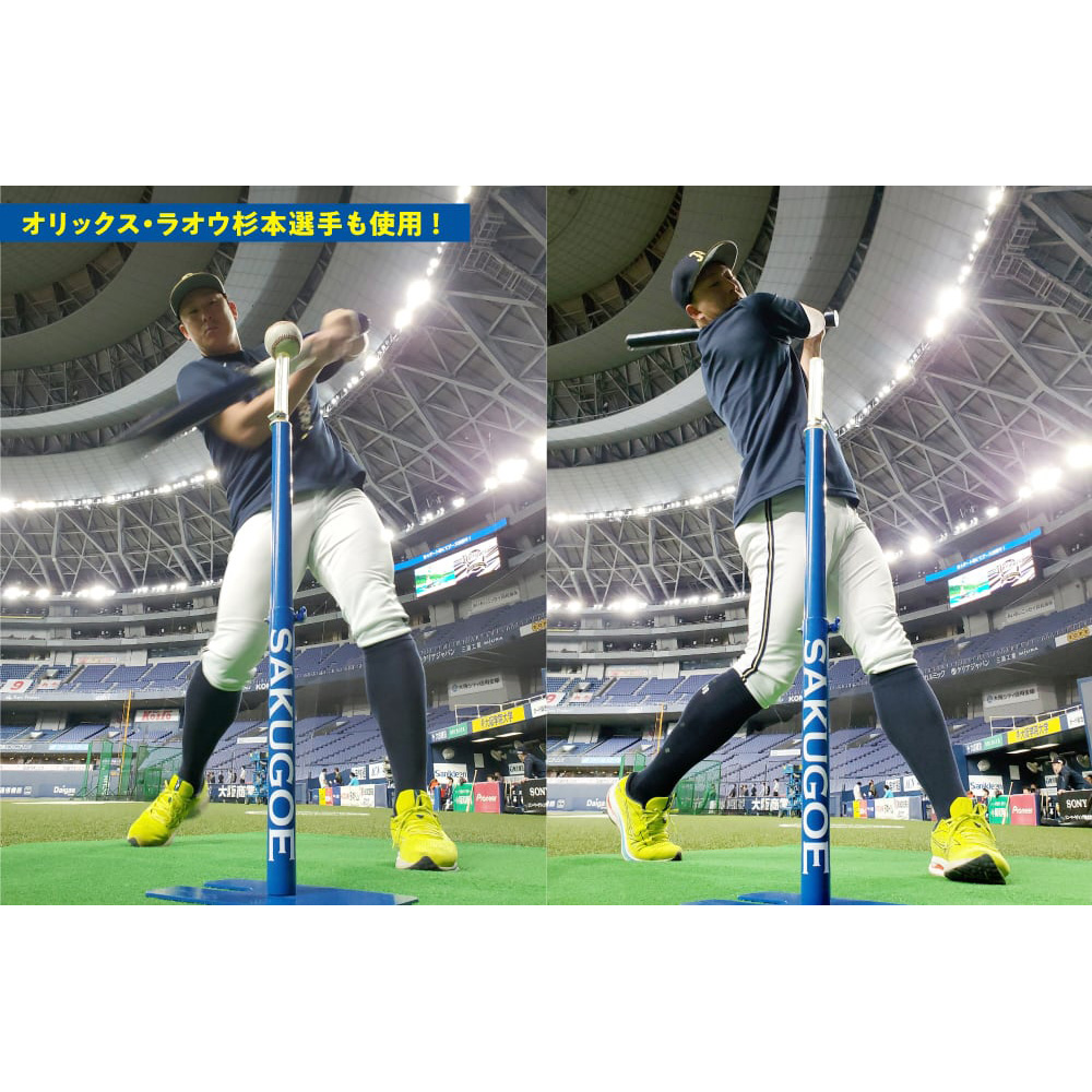 サクゴエ(SAKUGOE) 野球 バッティングティー SAKUGOE X VER.10 (PUT式