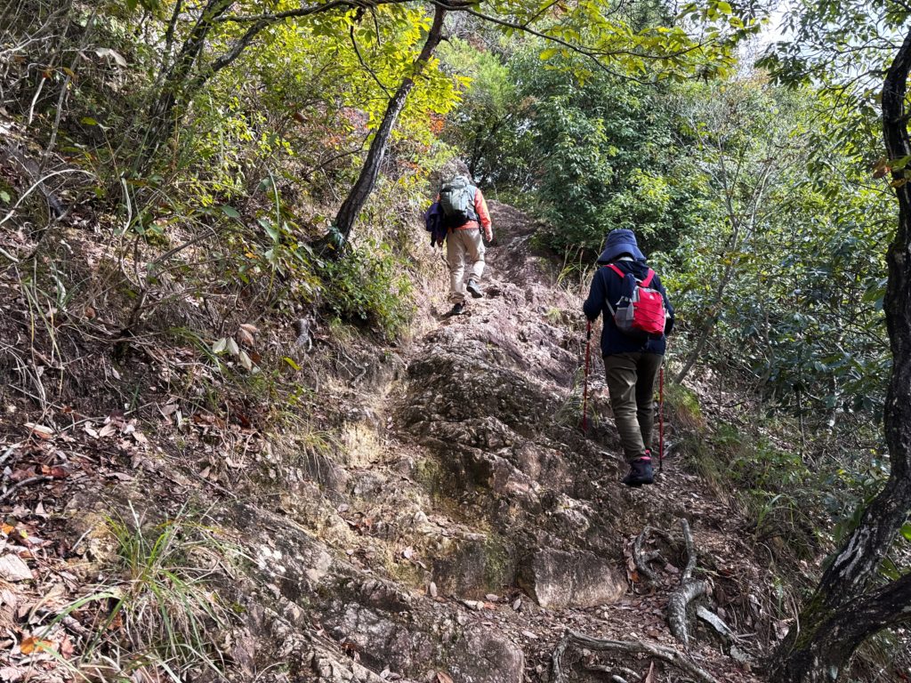 二上山鹿谷寺コース～岩登り楽しいけど💦 スズメバチ🐝注意❕ | SS