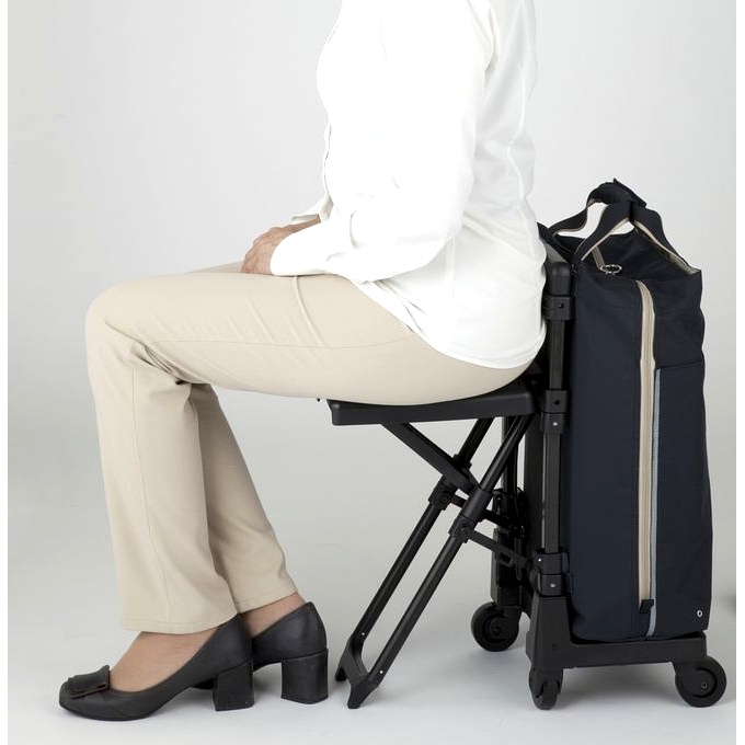 SWANY D-309プレーネⅡ ブラック 座面付き スワニー SWANY D-309