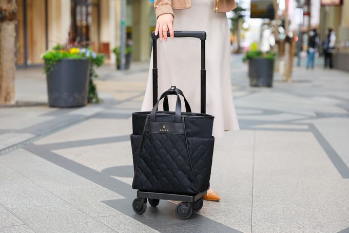 SWANY スワニー　キャリーバッグ D-589 プーフォ M21 D-589 プーフォ (M21) <T2キャスター・4輪ストッパー付>| キャリー