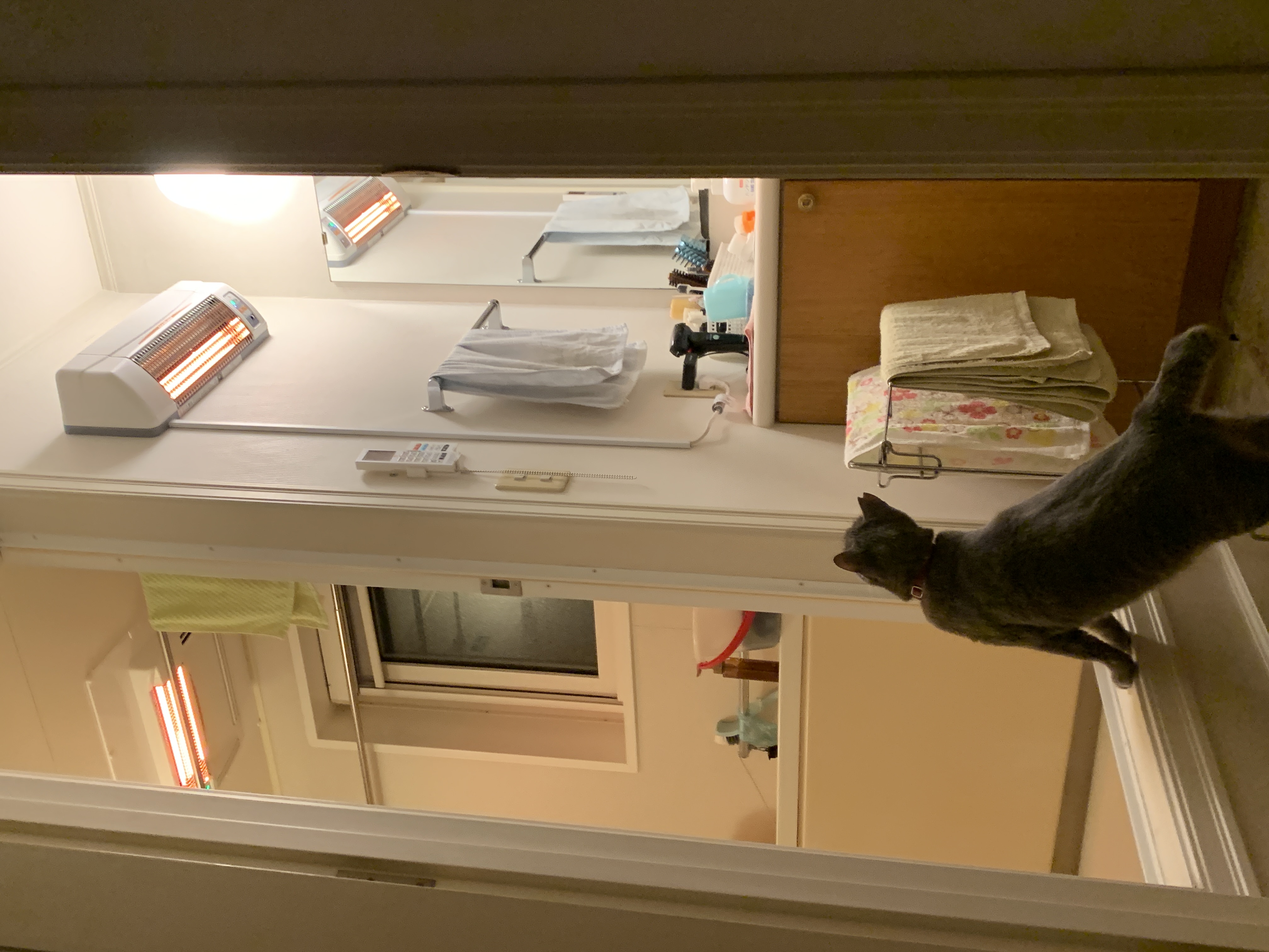 浴室換気乾燥暖房機（グラファイトヒーター式／BF-861RGA／壁型）＋