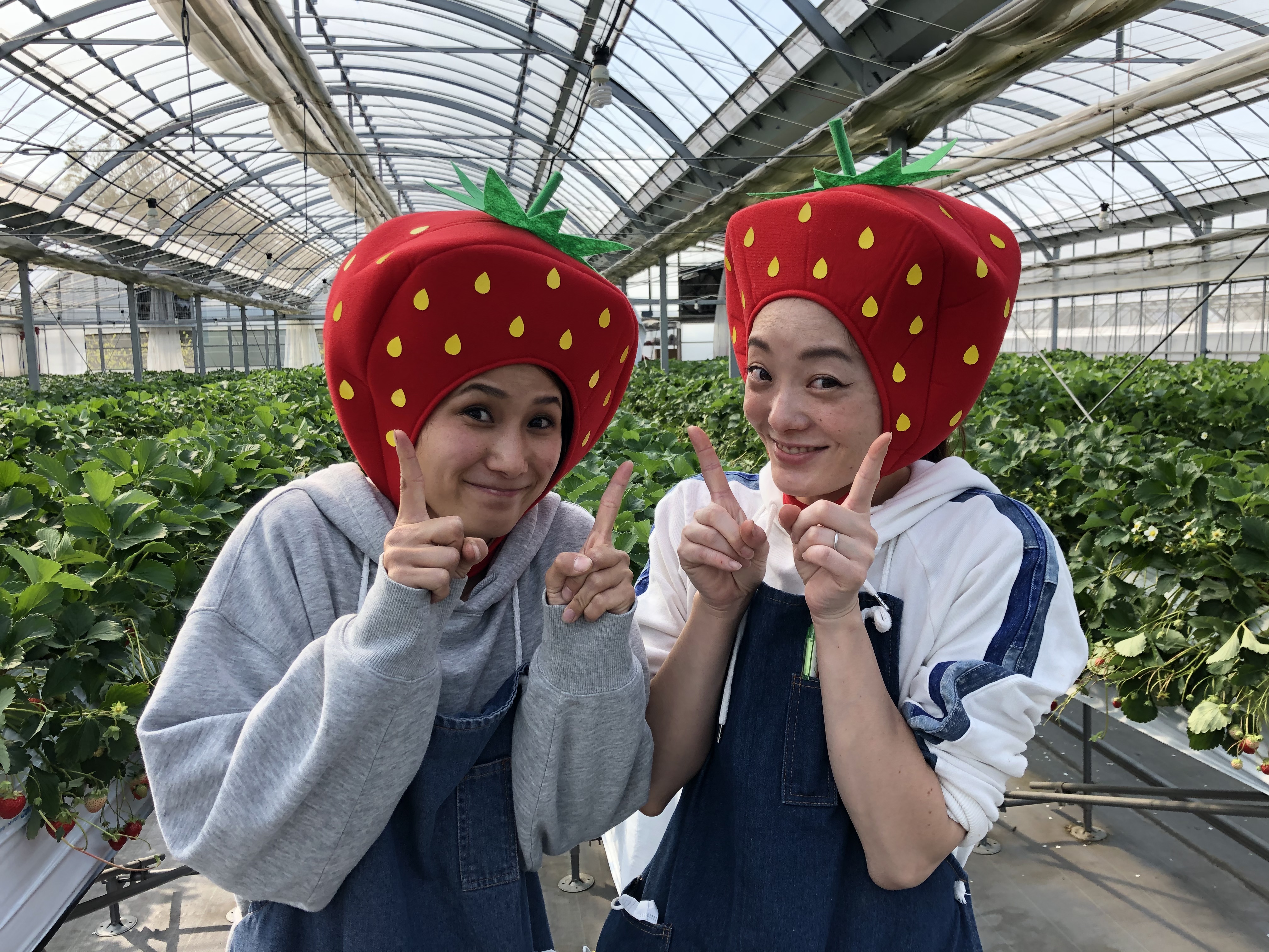 いちご狩り料金変更のご案内！｜サニー農園(旧 西本ファーム)｜知多