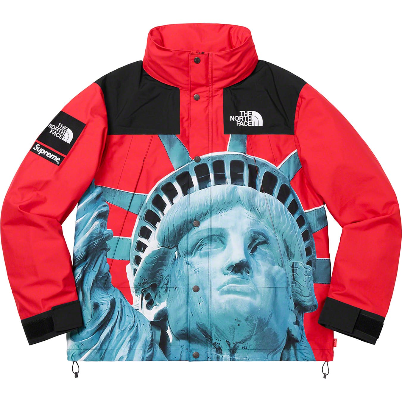 Supreme®/The North Face® Statue of Liberty Mountain Jacket