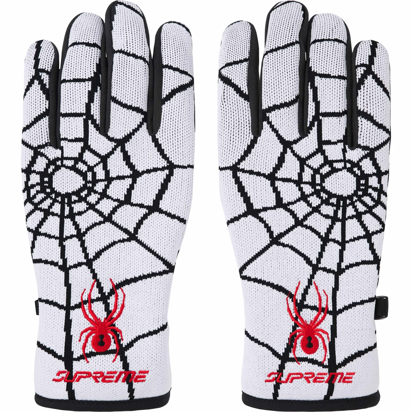 Supreme®/Spyder® Gloves | Supreme 24fw