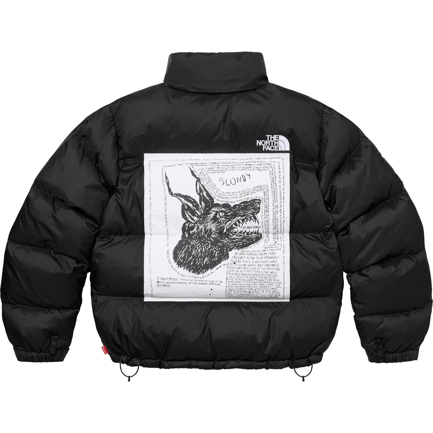 Supreme®/The North Face® Nuptse Jacket | Supreme 24fw