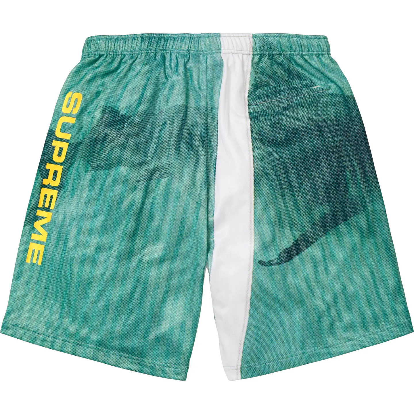 Supreme/Damien Hirst Soccer Short | Supreme 25ss