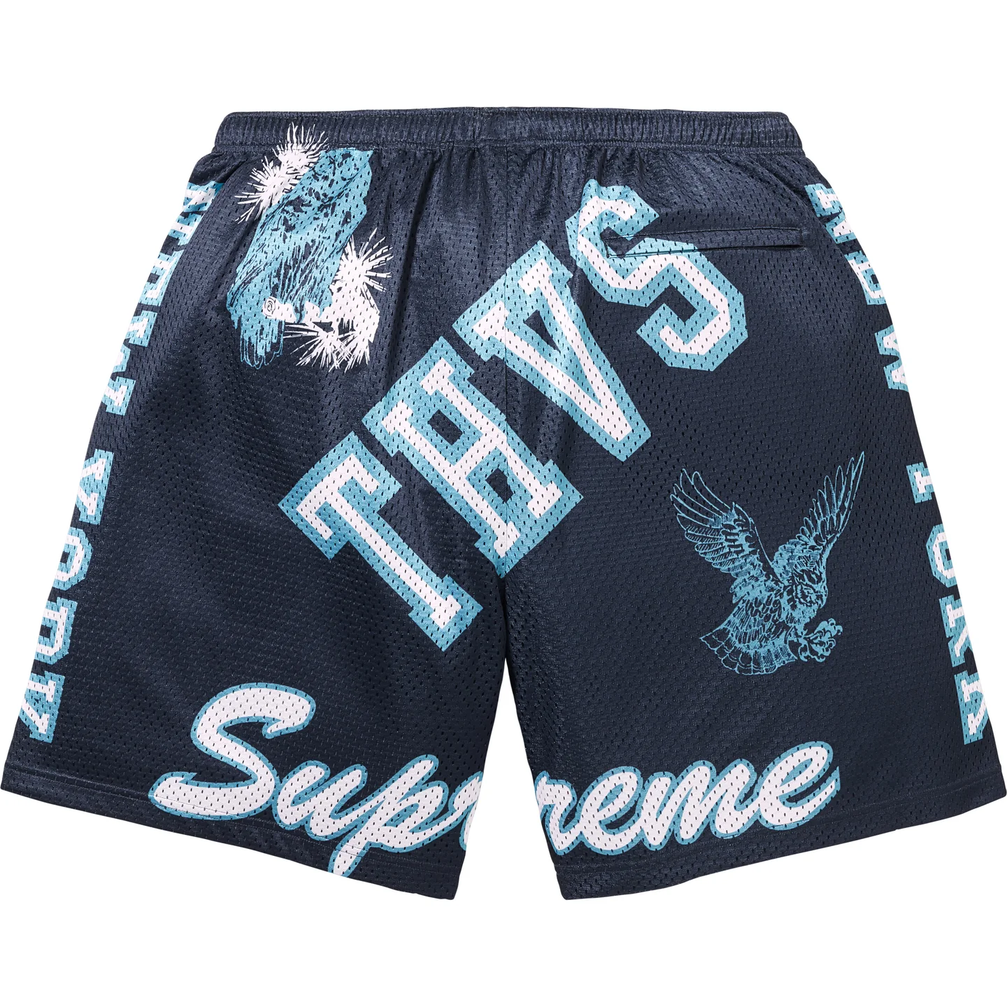 Varsity Mesh Short | Supreme 25ss