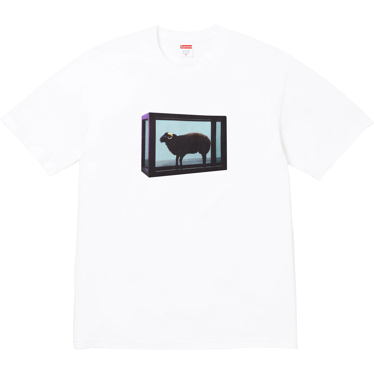 Supreme/Damien Hirst Tee | Supreme 25ss