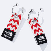 Supreme®/The North Face® Steep Tech Gloves | Supreme 22fw