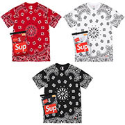 Supreme®/Hanes® Bandana Boxer Briefs (2 Pack) | Supreme 22fw