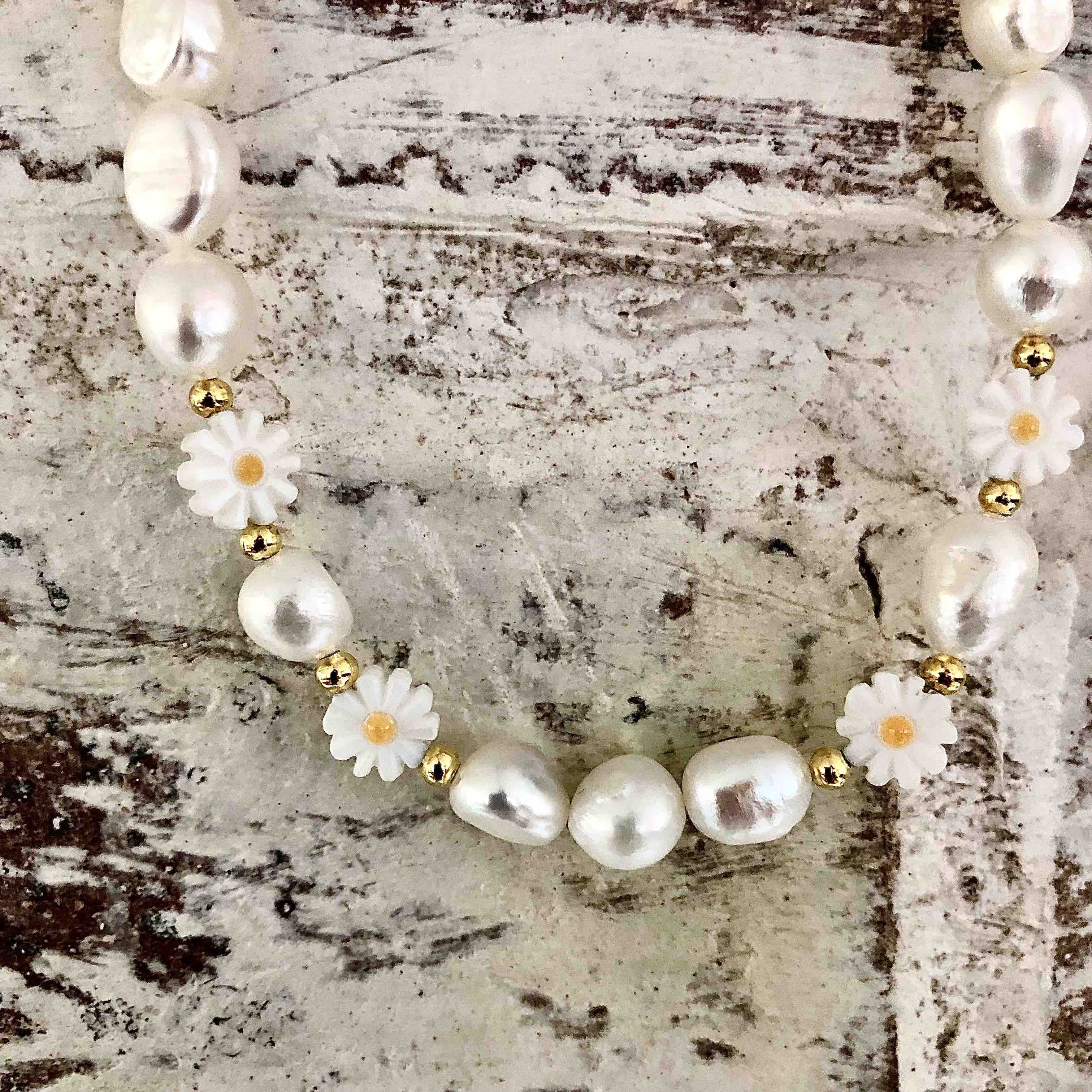 IMG_9068LOW.jpg?v=1670583079&