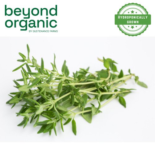 Thyme – Sustenance