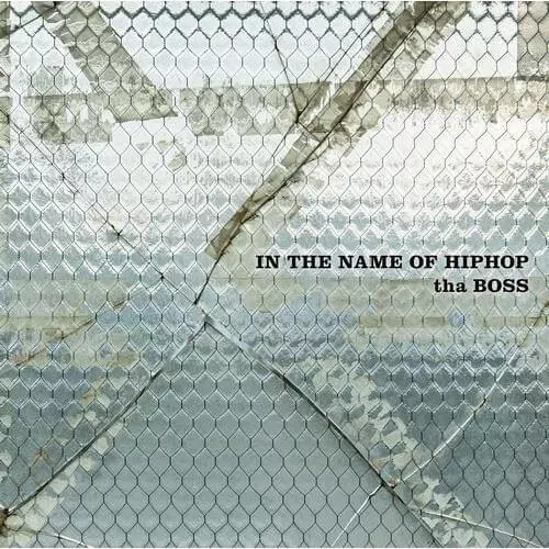 IN THE NAME OF HIPHOP 