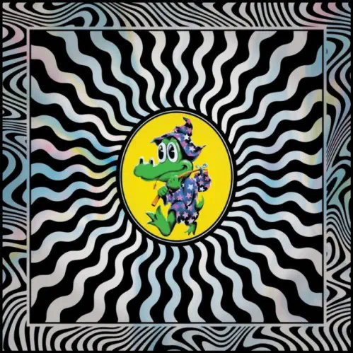 KING GIZZARD AND THE LIZARD WIZARD / キング・ギザード&ザ