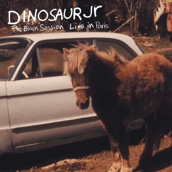 DINOSAUR JR. / ダイナソー・ジュニア商品一覧｜OLD ROCK｜ディスク