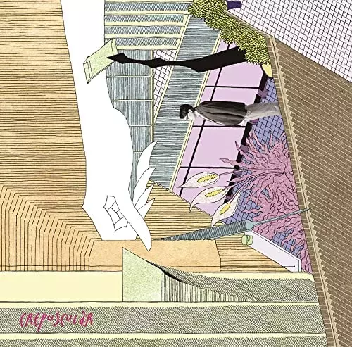 ペイパードライヴァーズミュージック(2LP)/KIRINJI/キリンジ/完全生産