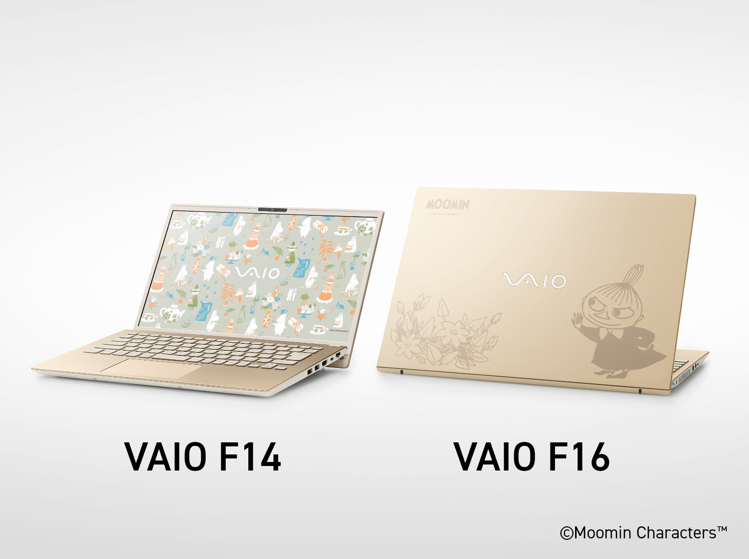 SONY VAIO VPCL24AJ 初期化済み SONY VAIO VPCL24AJ デスクトップPC