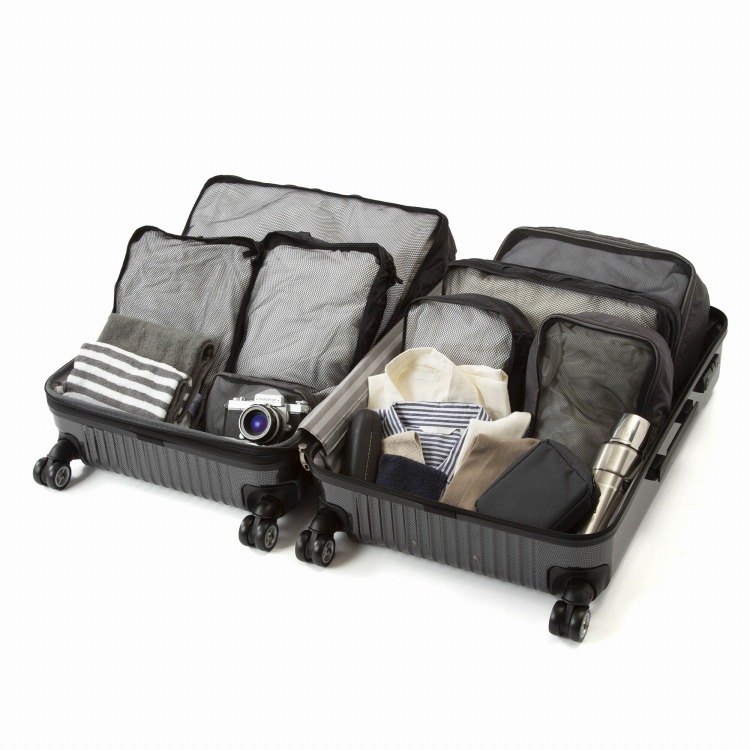 WEB限定】 ACE クレスタ スーツケース 83/93L エキスパンド機能 06318