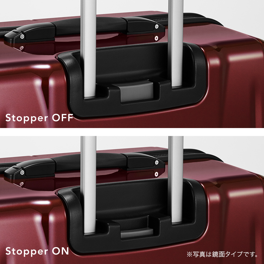 プロテカ スタリアVsdR Lサイズ 30日間 0433530(Lサイズ 30日間プラン