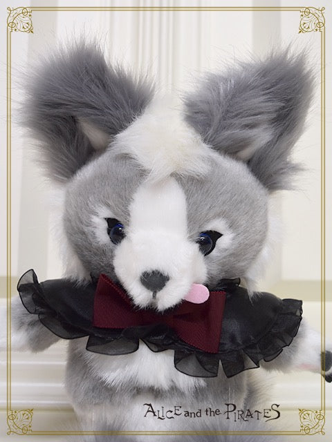 Captain Chris pochette – BABY, THE STARS SHINE BRIGHT