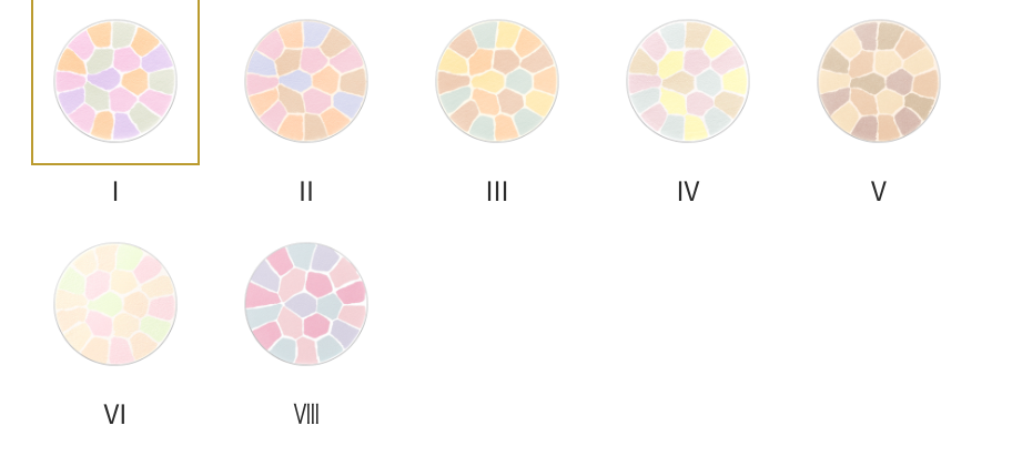 Elegance LA POUDRE HAUTE NUANCE LUXUEUSE (Finishing face powder