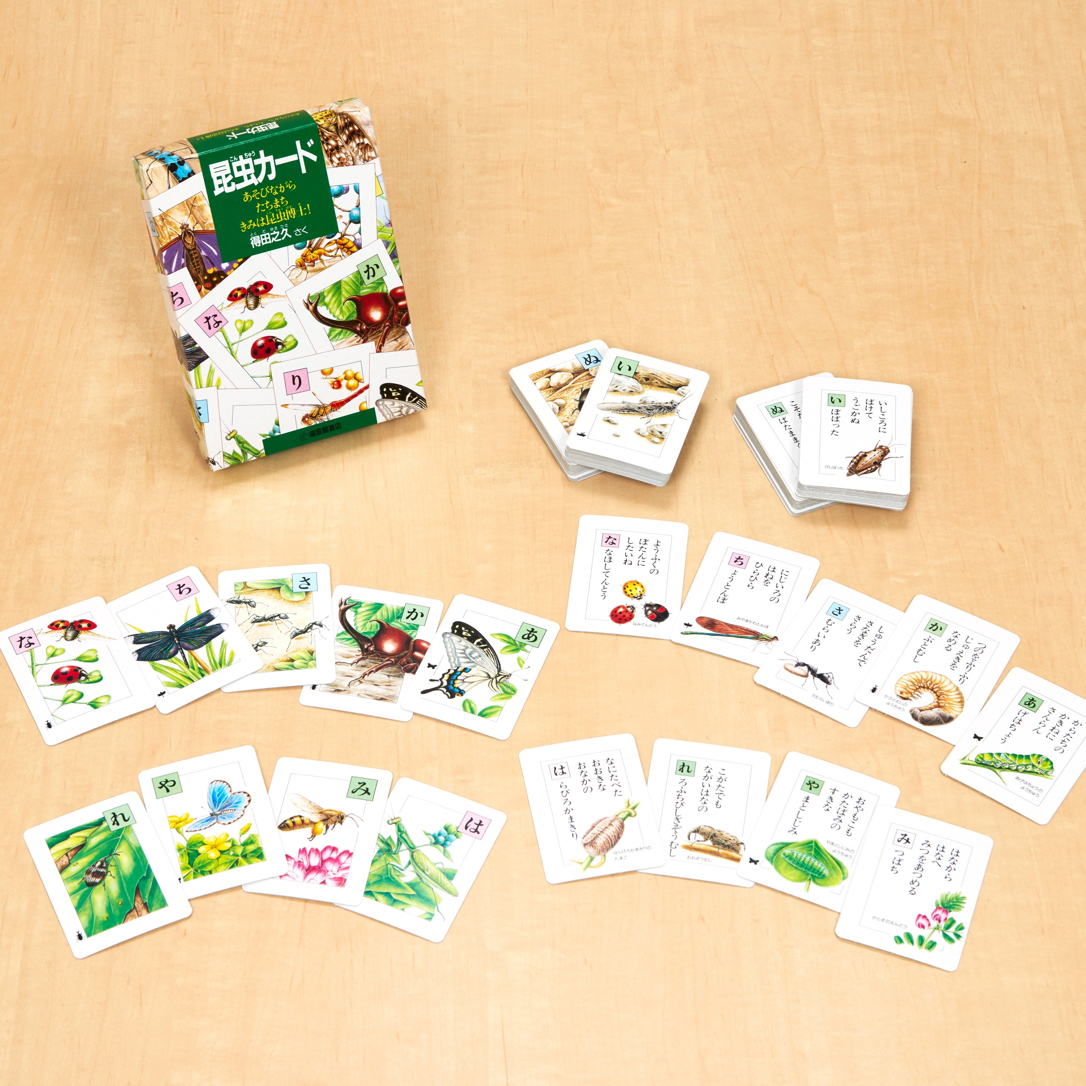 昆虫カード – 福音館書店 オンラインストア