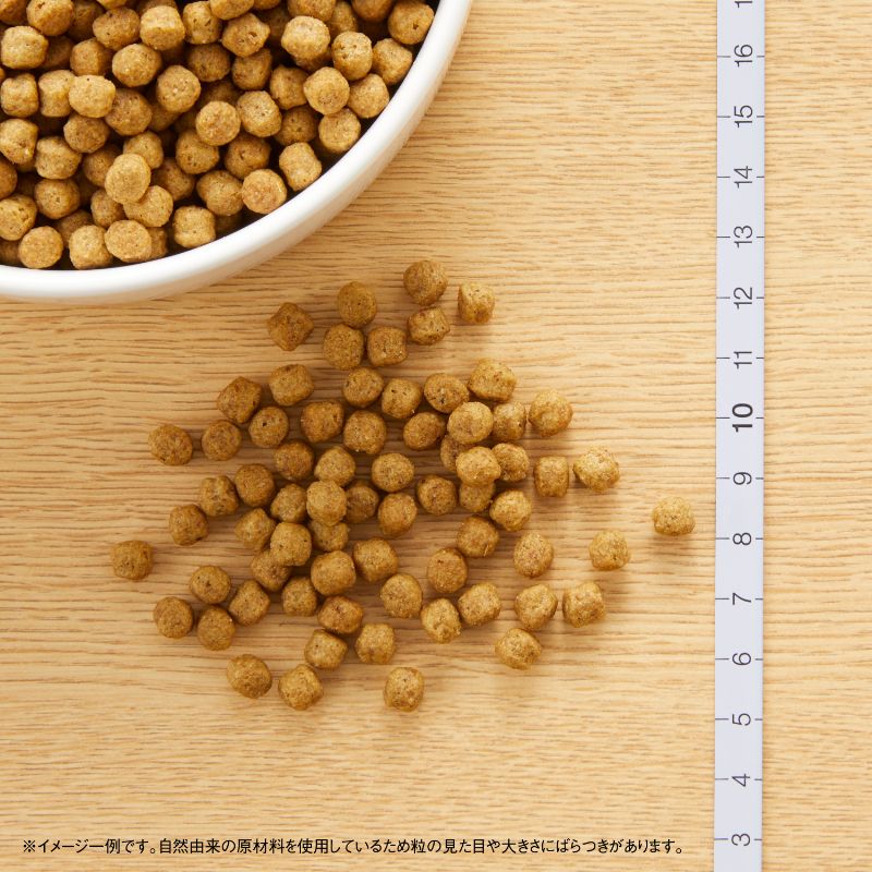 ニュートロ ナチュラル チョイス 超小型犬～小型犬用 エイジングケア