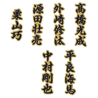 選手から探す/#61 平良 海馬 | 埼玉西武ライオンズ公式オンラインショップ