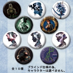 ファンタビグッズはこちら！Froovie 『ファンタスティック・ビースト