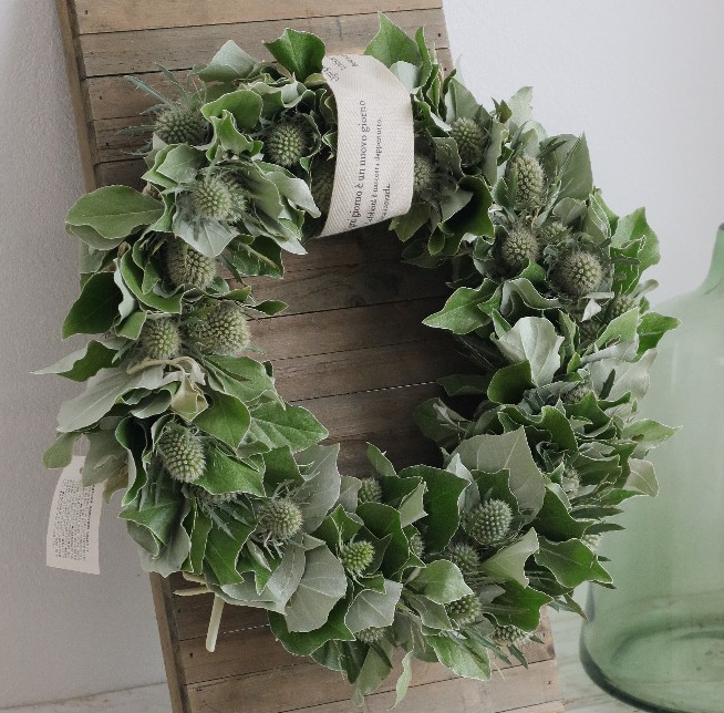 生花】銀葉グミ(40cm前後) 武笠農園 【FJ】 - 花材通販はなどんやアソシエ