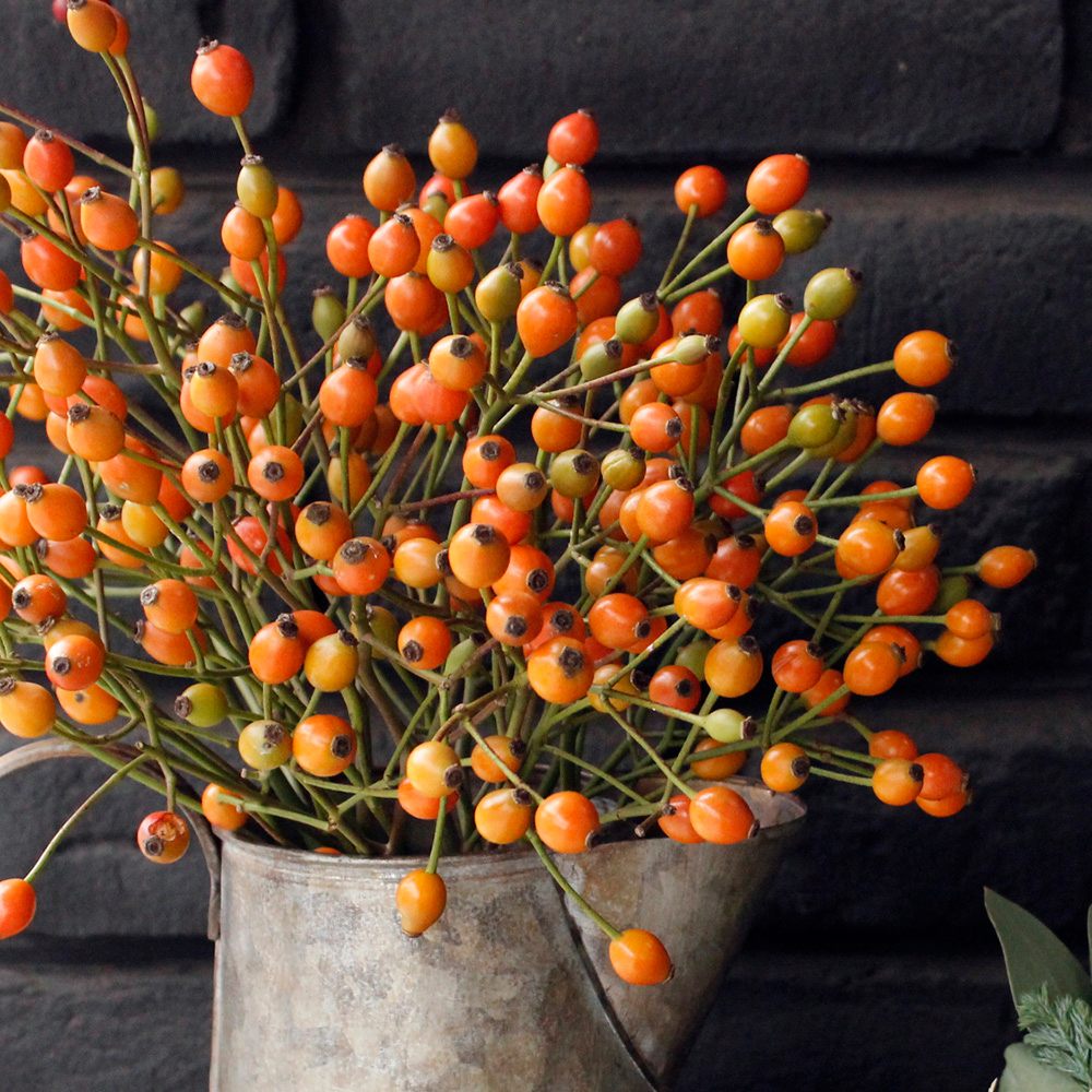 生花】星野さんのローズヒップ マジカルローズ 80cm程度【IT-29】 - 花