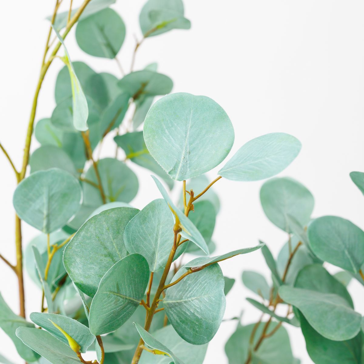 直送】【人工観葉植物】アスカ/ユーカリ(ポット付) #063G グレイ