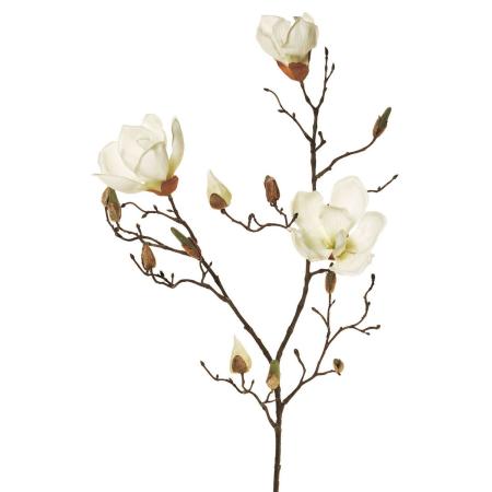 造花】MAGIQ東京堂/マグノリアセシリア #1 CREAM /FM003340-001 - 花材