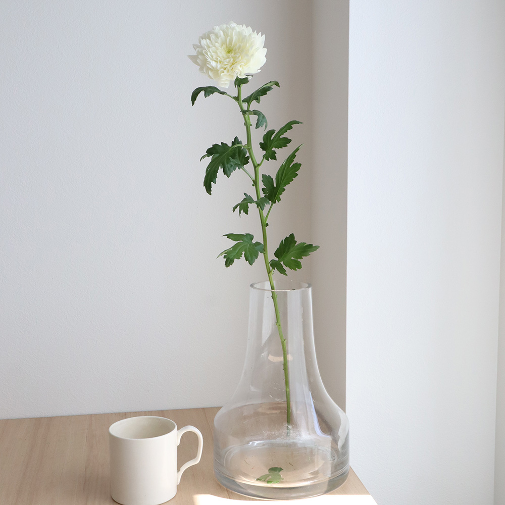 直前!!!】デコラマム シャンパンアイボリー(白〜淡黄系)【生花】 - 花