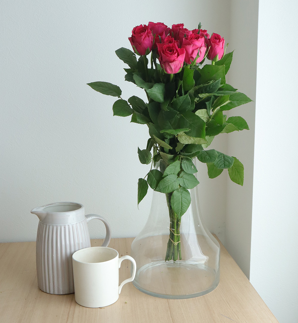 生花】ケニアローズ 濃いピンク 50cm(ワイルドカリプソなど) 【FJ