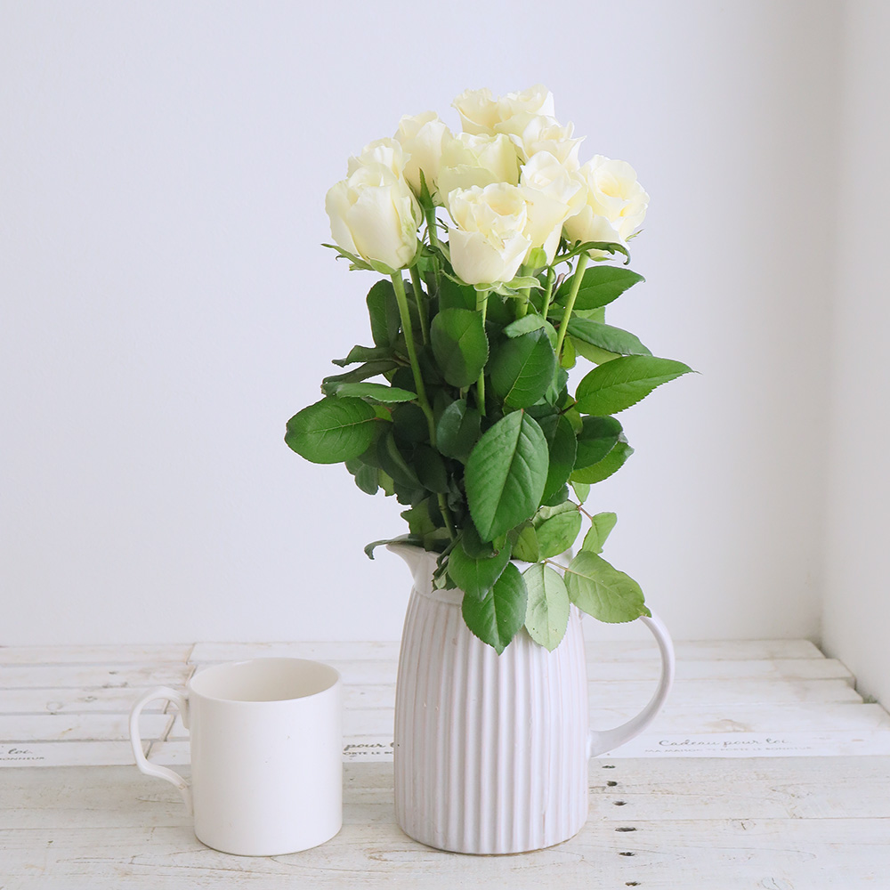 生花】バラ ジューク(オフホワイト系)□今週のオトク【IT-23】 - 花材