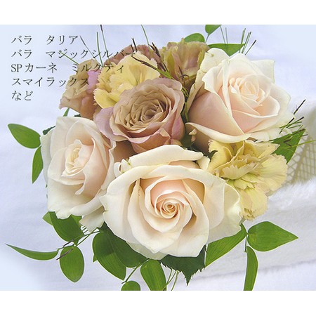 直前】藤花園さんの国産カーネーション ピンク【生花】 - 花材通販は