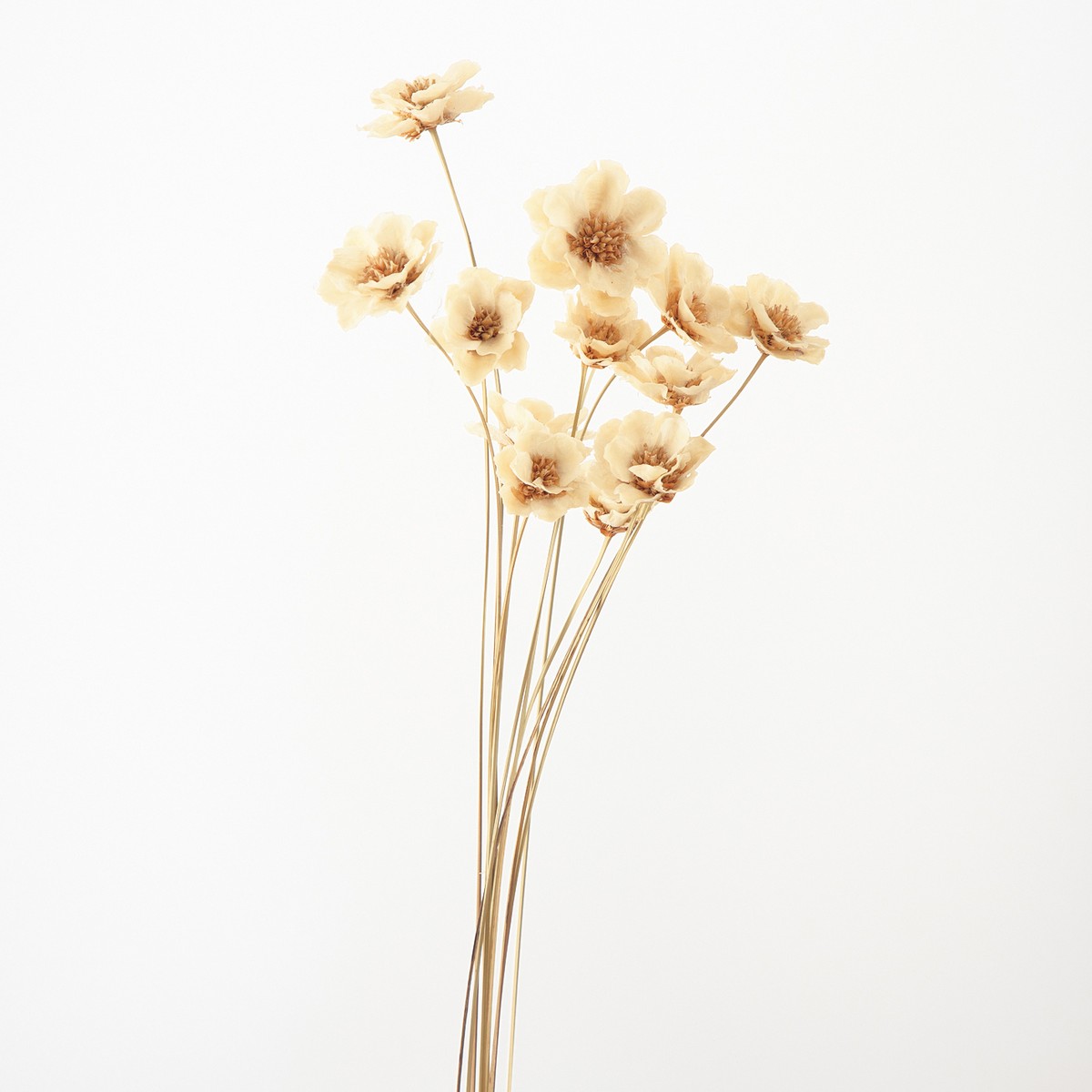 即日☆【ハンドメイドフラワー】大地農園/アネモネフラワー 12本 白