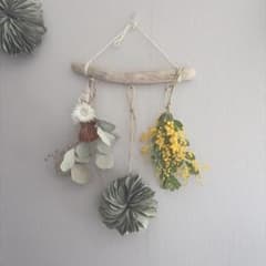 ドライフラワー 流木ガーランド ミニスワッグ 限定ミモザ入り - メルカリ