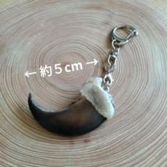 熊の爪 キーホルダー ヒグマの爪 羆の爪 魔除け 災難除け 財運・金運