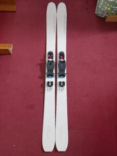 175 Vector Glide Polarve - メルカリ