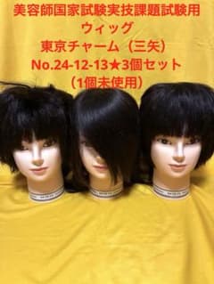 美容師国家試験実技課題試験用ウィッグ☆東京チャーム☆No.24-12-13×3