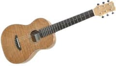 CORDOBA MINI II FMH ギター（ナイロン弦）専用ギグバッグ付き - メルカリ